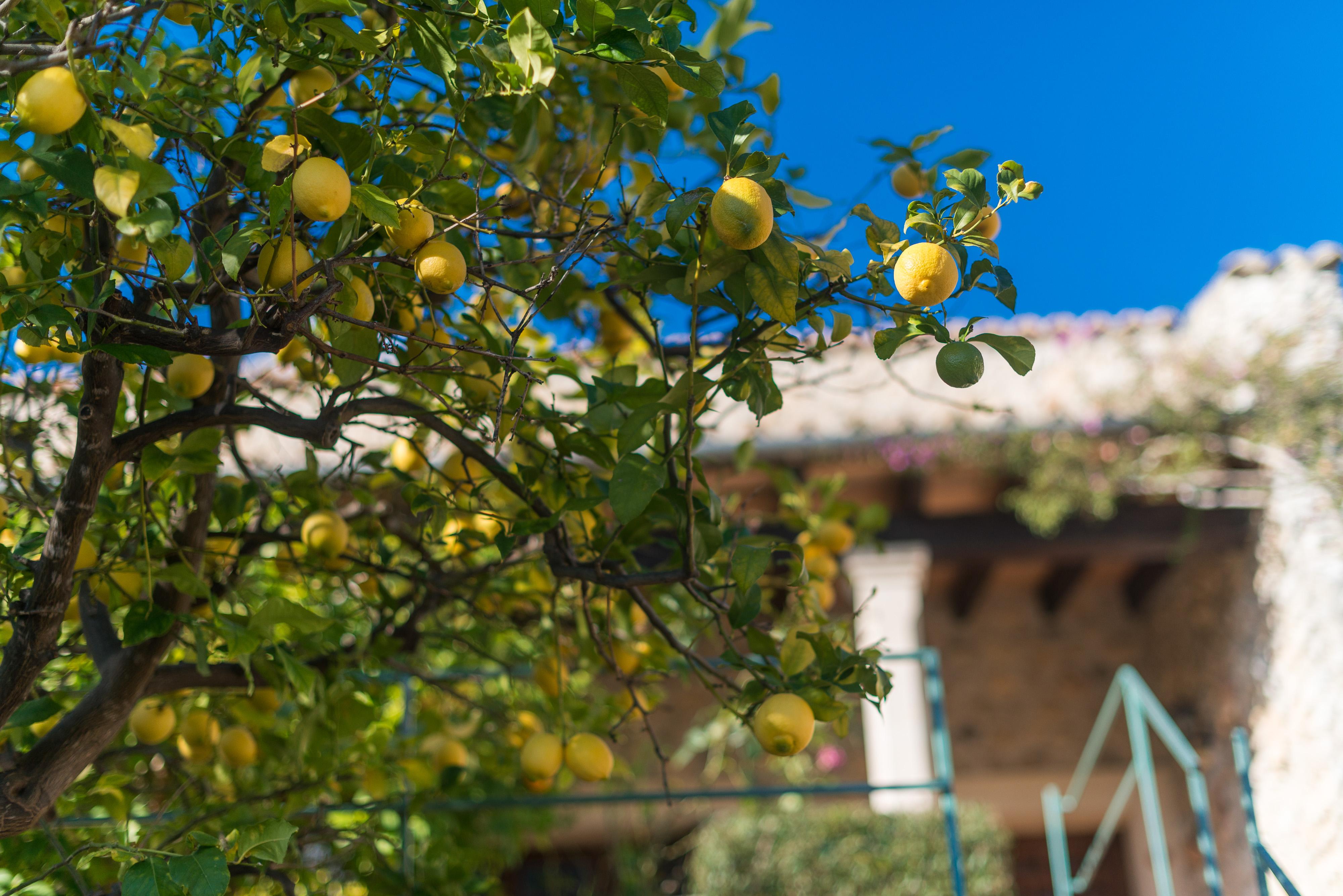 New Can Furios Hotel By Can Calco Hotels El Port de la Selva Exterior photo